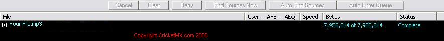 Success 8.jpg