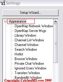 Settings Appearence.jpg